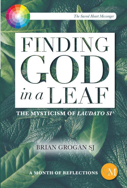 Finding God in a Leaf : The Mysticism of Laudato Si', PDF eBook