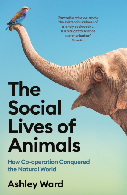 The Social Lives of Animals : How Co-operation Conquered the Natural World, Paperback / softback Book