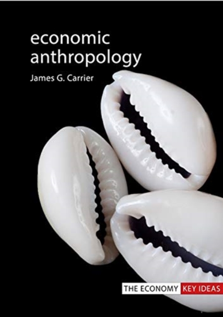 Economic Anthropology, Paperback / softback Book