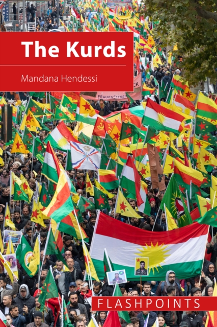 The Kurds : The Struggle for National Identity and Statehood, EPUB eBook