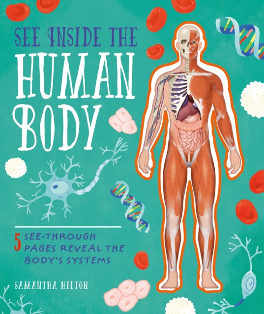 See Inside the Human Body, Hardback Book