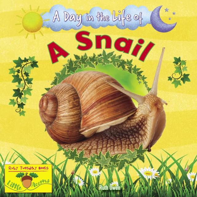 A Snail, Paperback / softback Book