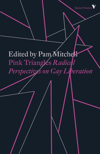 Pink Triangles : Radical Perspectives on Gay Liberation, EPUB eBook