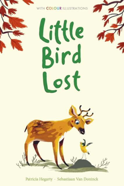 Little Bird Lost, Hardback Book