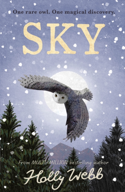 Sky, Paperback / softback Book