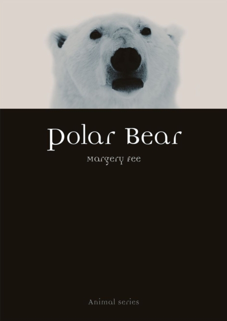 Polar Bear, Paperback / softback Book