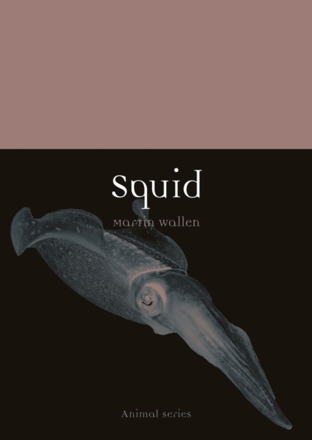 Squid, Paperback / softback Book