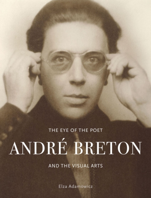 The Eye of the Poet : Andre Breton and the Visual Arts, Hardback Book