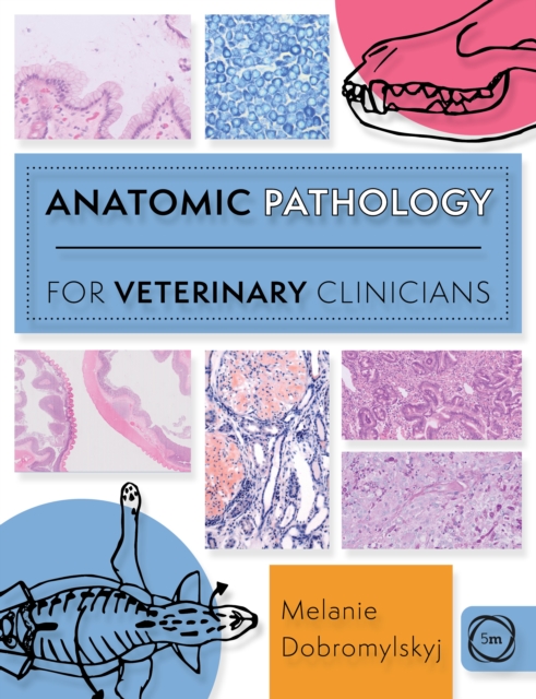 Anatomic Pathology for Veterinary Clinicians, Paperback / softback Book