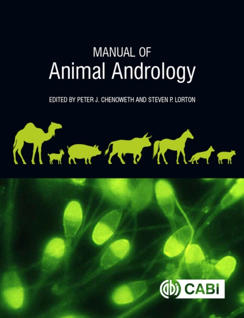 Manual of Animal Andrology, Paperback / softback Book