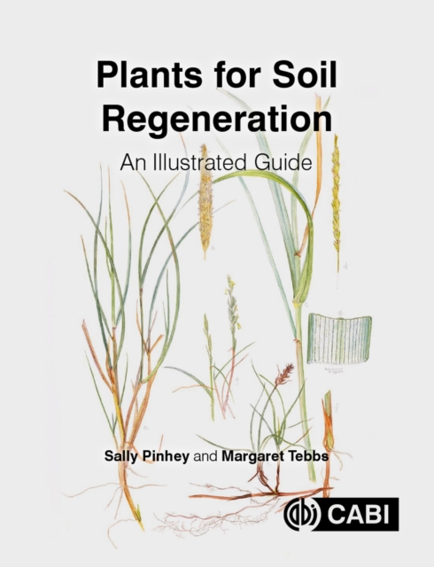 Plants for Soil Regeneration : An Illustrated Guide, Hardback Book