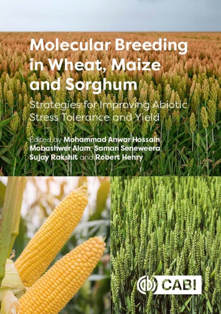 Molecular Breeding in Wheat, Maize and Sorghum : Strategies for Improving Abiotic Stress Tolerance and Yield, Hardback Book