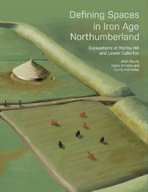 Defining Spaces in Iron Age Northumberland : Excavations at Morley Hill and Lower Callerton, Paperback / softback Book