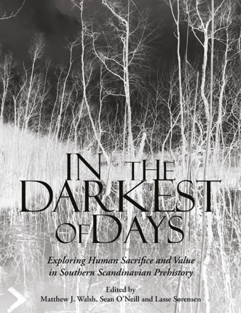 In the Darkest of Days : Exploring Human Sacrifice and Value in Southern Scandinavian Prehistory, PDF eBook