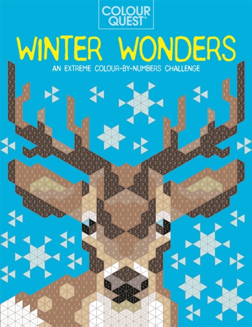 Colour Quest®: Winter Wonders : An Extreme Colour by Numbers Challenge, Paperback / softback Book