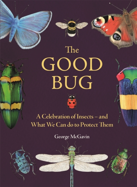 The Good Bug : A Celebration of Insects – and What We Can Do to Protect Them, Hardback Book