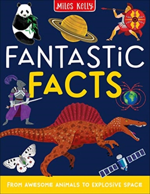 Fantastic Facts, Paperback / softback Book
