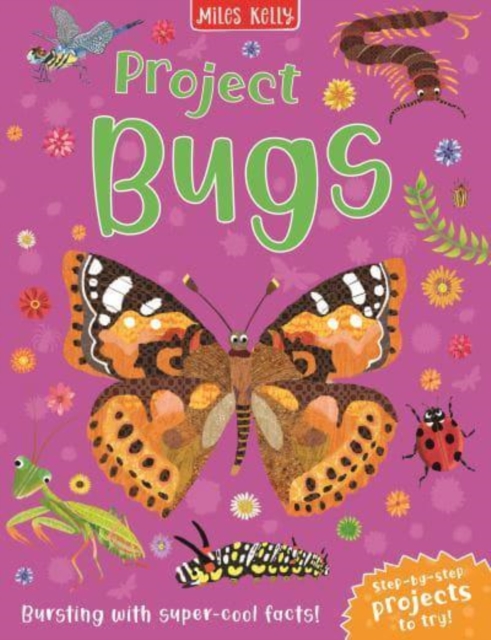 Project Bugs, Paperback / softback Book