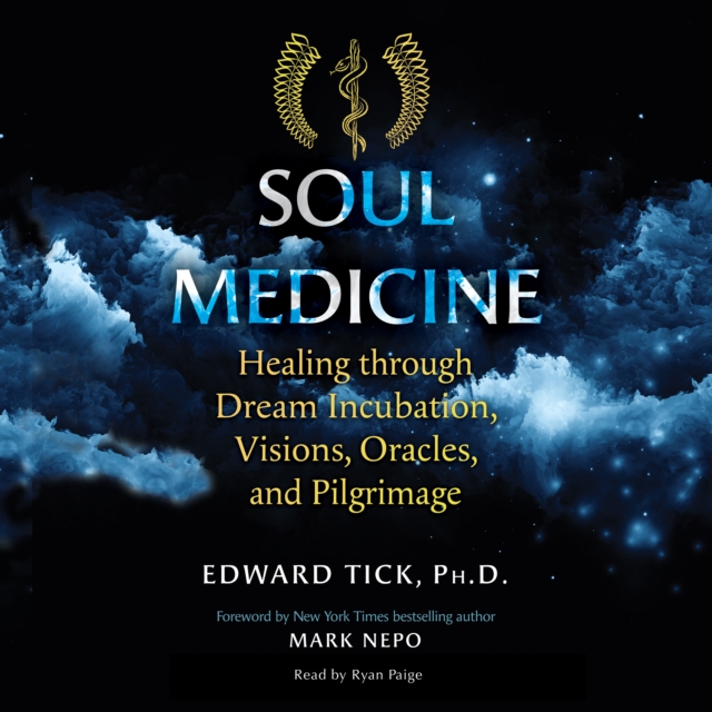 Soul Medicine : Healing through Dream Incubation, Visions, Oracles, and Pilgrimage, eAudiobook MP3 eaudioBook