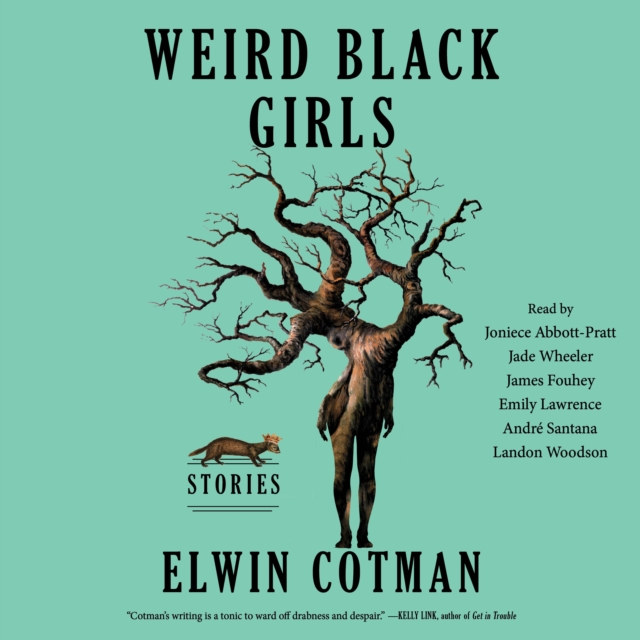 Weird Black Girls : Stories, eAudiobook MP3 eaudioBook