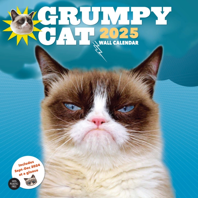 Grumpy Cat 2025 Wall Calendar, Calendar Book