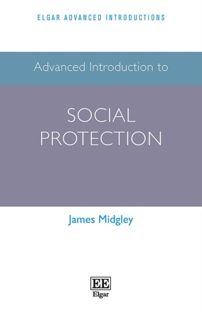 Advanced Introduction to Social Protection, PDF eBook