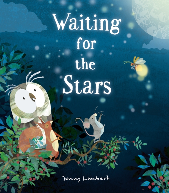 Waiting for the Stars, Hardback Book