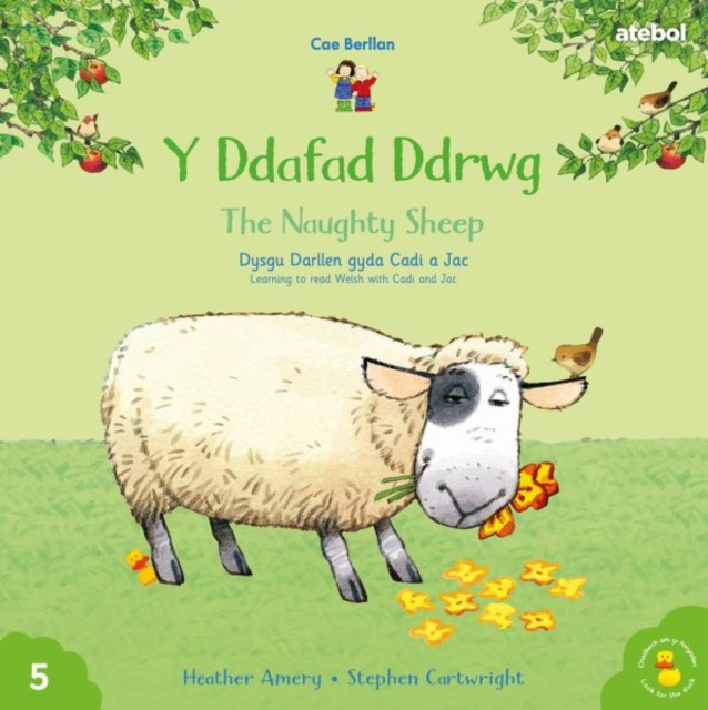Cyfres Cae Berllan: Y Ddafad Ddrwg / The Naughty Sheep, Paperback / softback Book