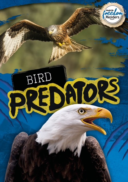 Bird Predators, Paperback / softback Book