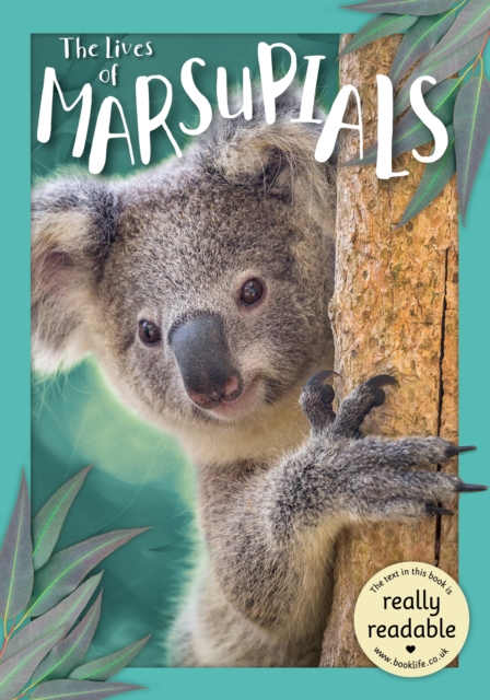 The Lives of Marsupials, Paperback / softback Book