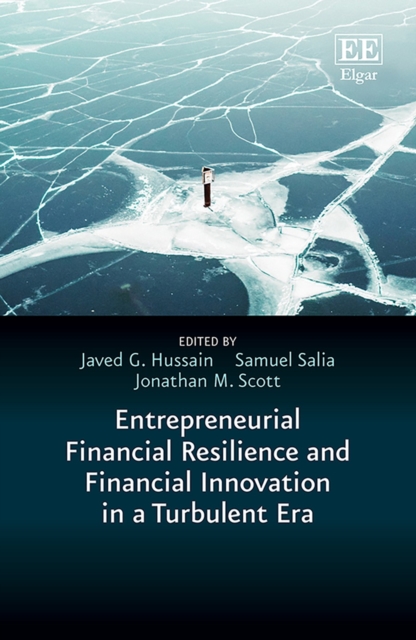 Entrepreneurial Financial Resilience and Financial Innovation in a Turbulent Era, PDF eBook