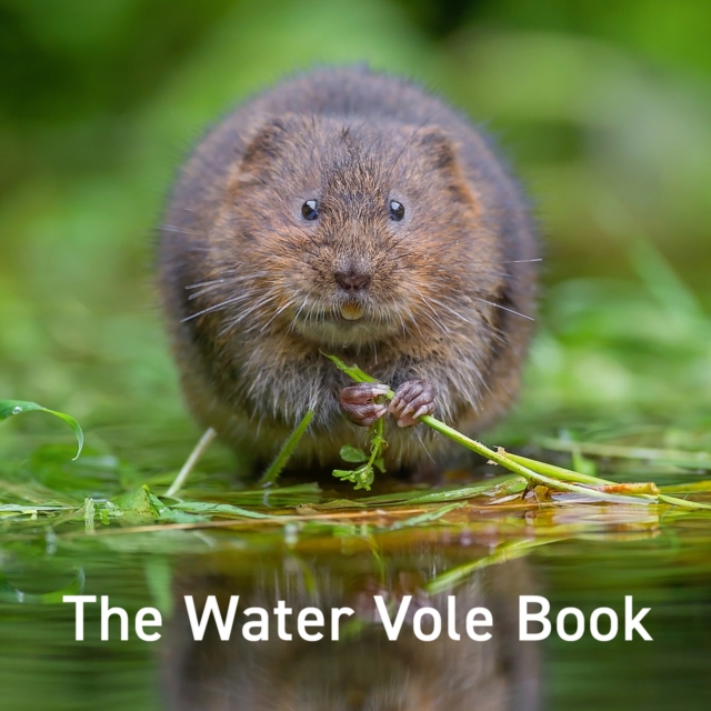 Water Vole Book, The, Hardback Book