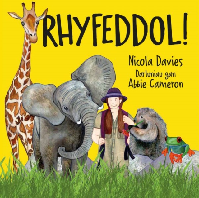 Rhyfeddol!, Paperback / softback Book