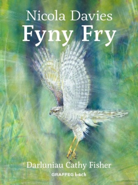 Fyny Fry, Paperback / softback Book