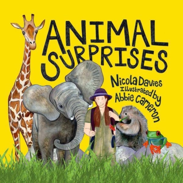 Animal Surprises, Paperback / softback Book