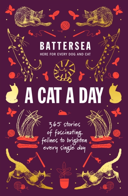 Battersea Dogs and Cats Home - A Cat a Day : 365 stories of fascinating felines to brighten every day, Hardback Book