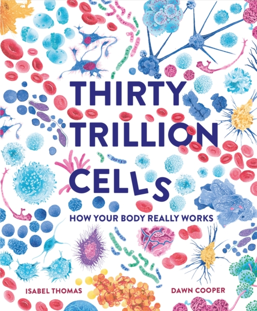 Thirty Trillion Cells : How Your Body Really Works, Paperback / softback Book