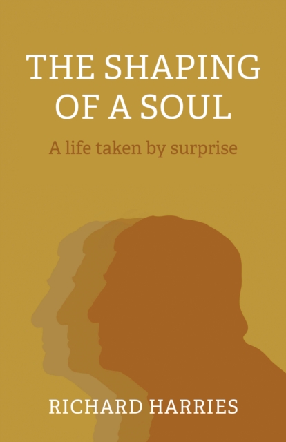 Shaping of a Soul, The : A life taken by surprise, Paperback / softback Book