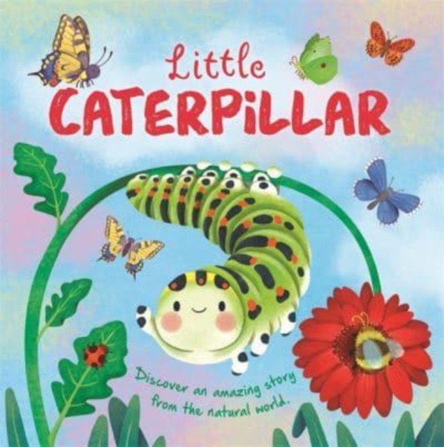 Little Caterpillar, Hardback Book