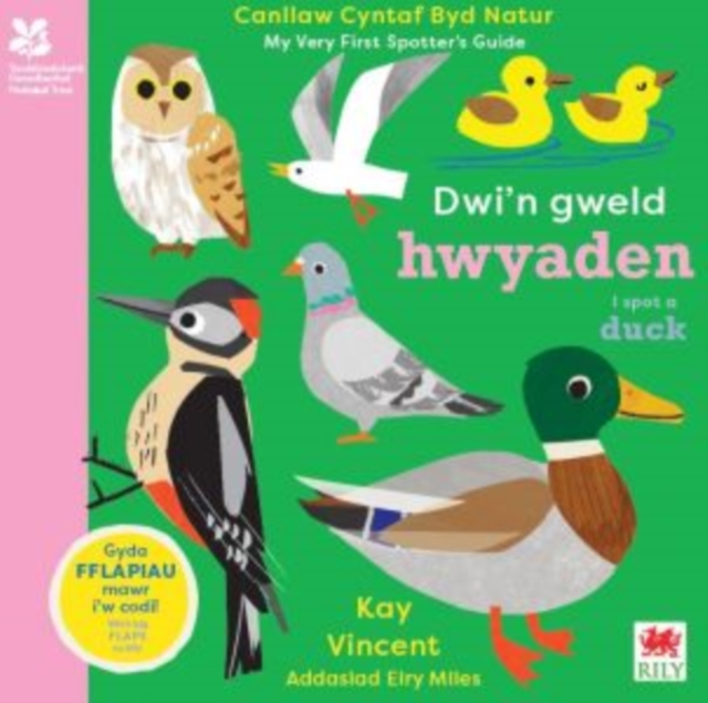 Dwi'n Gweld Hwyaden / I Spot a Duck : Canllaw Cyntaf Byd Natur / My Very First Spotter's Guide, Hardback Book