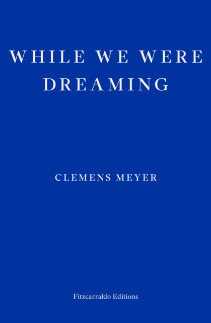While We Were Dreaming, Paperback / softback Book