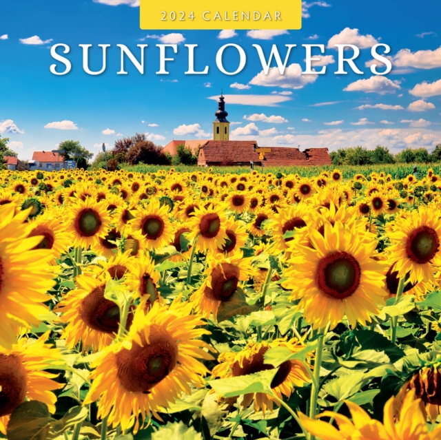 Sunflowers 2024 Square Wall Calendar, Paperback / softback Book