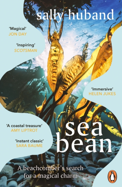 Sea Bean, Paperback / softback Book