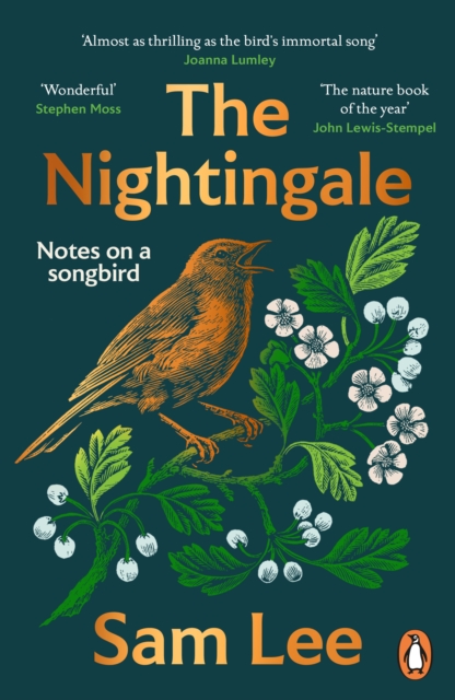 The Nightingale : ‘The nature book of the year’, Paperback / softback Book