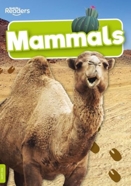 Mammals, Paperback / softback Book