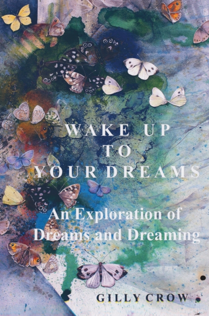 Wake Up to Your Dreams : An Exploration of Dreams and Dreaming, Paperback / softback Book