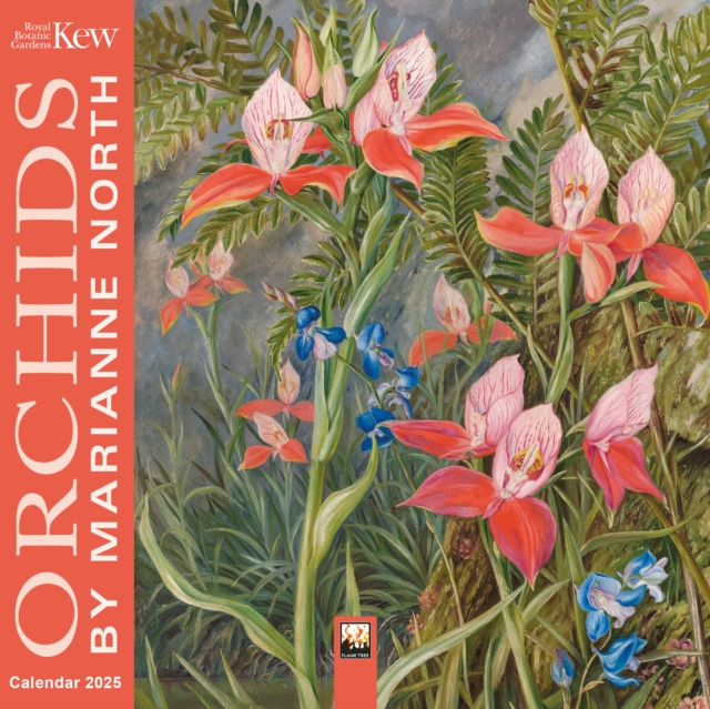 Kew Gardens: Orchids by Marianne North Mini Wall Calendar 2025 (Art Calendar), Calendar Book