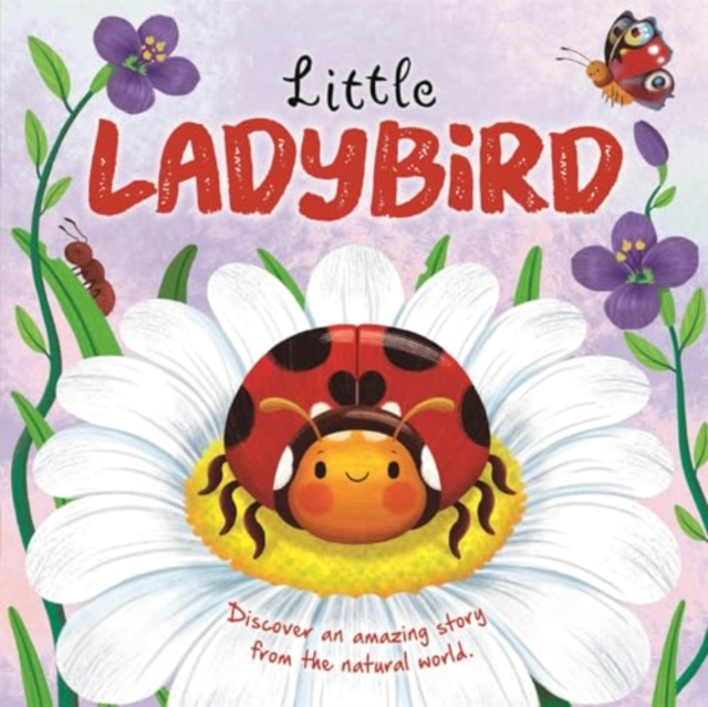 Little Ladybird, Board book Book
