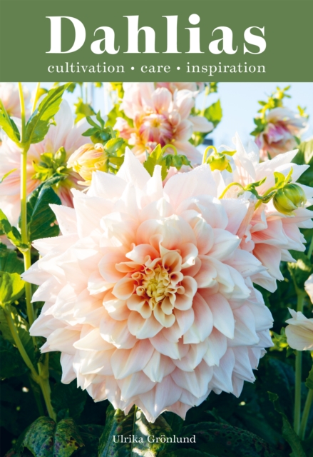 Dahlias : Inspiration, Cultivation and Care for 222 Varieties, EPUB eBook
