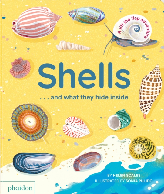 Shells... and what they hide inside : A Lift-the-Flap Adventure, Board book Book
